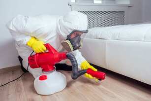 A professional exterminator sprays bed bugs in a residential home in Lehigh Valley.