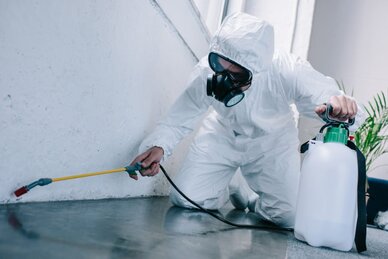 Pest control professional spraying home for cockroaches, ants, spiders, and other pests in Lehigh Valley.