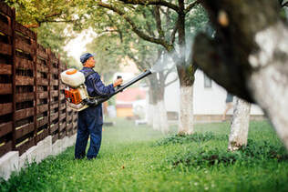 Pest control professional exterminates mosquitoes in the backyard of a home in Lehigh Valley.